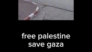 Free Palestine