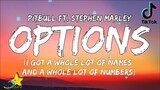 Pitbull - Options (Lyrics) ft Stephen Marley | I got a whole lot of names and a whole lot of numbers