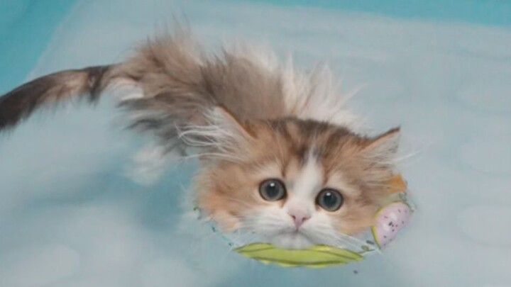 Aku punya pelampung renang, hihi.