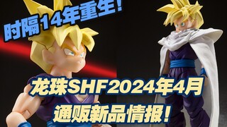 【涛光玩具箱】万代龙珠SHFiguarts2024年4月通贩新品公布！超级赛亚人孙悟饭超越悟空的展示发售决定，老版超赛悟饭，沙鲁篇又一款大将，诸多新设计来袭