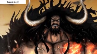 Kaido thật sự là thứ gì  Giải đáp những bí mật về Sinh vật mạnh nhất 6