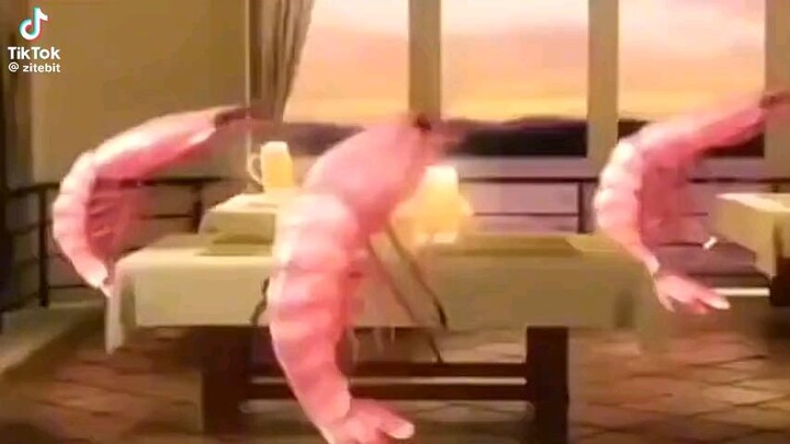กุ้งเต้น🦞