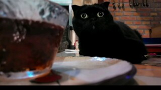 Một chiếc túi vải, sự khác biệt giữa có ngàn tuổi và không có ngàn tuổi lớn đến vậy sao?