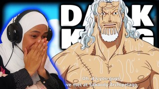 RAYLEIGH CASUALLY KILLED A SEA KING AND SWAM TO AMAZON LILY 🔴 One Piece Episode 506 & 507 Reaction