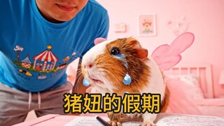 Piglet's vacation!