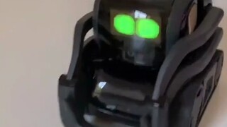 If keeping cats or dogs no longer satisfies you, why not get a pet robot instead?