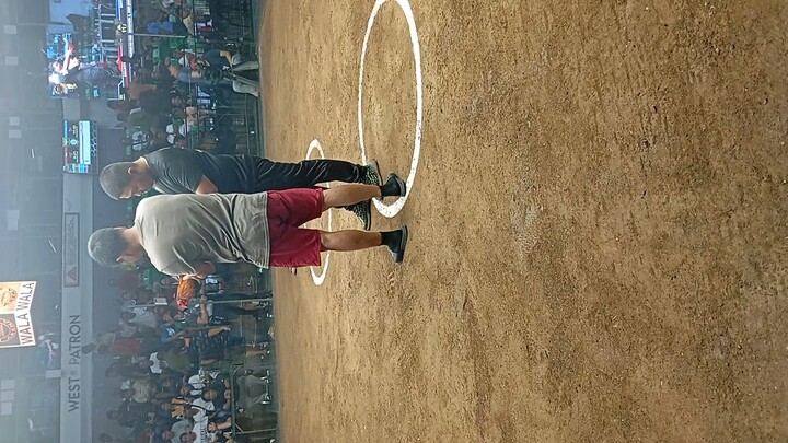 1cock ulutan at Manila arena.