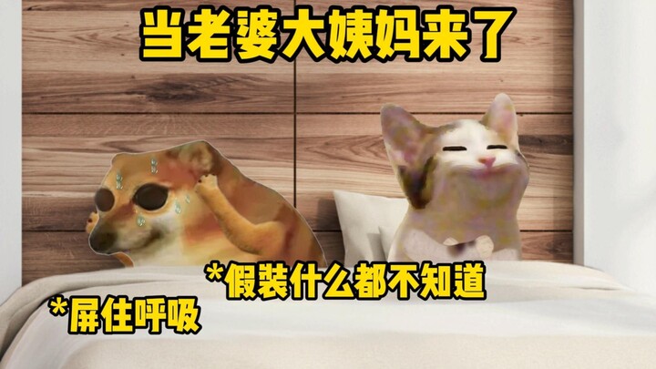 男人每个月一次的考验