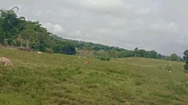 Pa uli part1 #Claveria