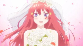 【MAD】五月份的花嫁：风太郎和五月的勾指起誓
