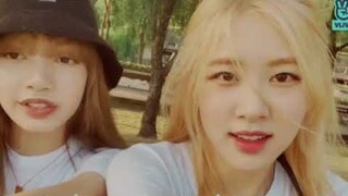 {opv} เล่นของสูง Blackpink M/V #lichaeng #blackpink #lichaeng-film