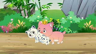 I wanted to have a cat, but my dog brought me a little snow leopard. That’s so cruel!