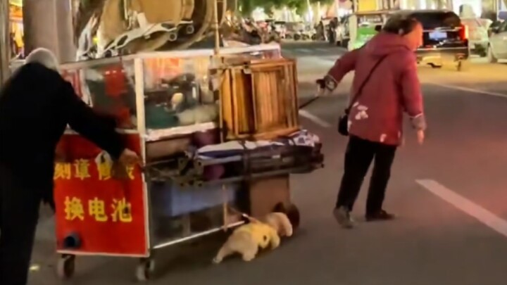 Puppy: The three of us are awesome!