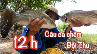 12 giờ câu cá chẽm, một ngày câu cá chẽm bội thu, nấu cháo cá chẽm