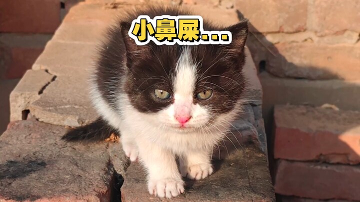 ของเล็กๆ ตัวไม่ใหญ่ แต่กินเก่งมาก