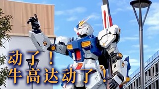 It’s moving! It’s moving! The Fukuoka Gyu Gundam is moving!