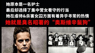 【العدد X】 معلومات تاريخية غير معروفة: ضباع معسكر أوشفيتز الاعتقالي