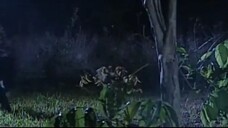 เหล็กไหล 2549 ตอนที่11