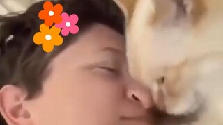 Kucing saling berdekatan～