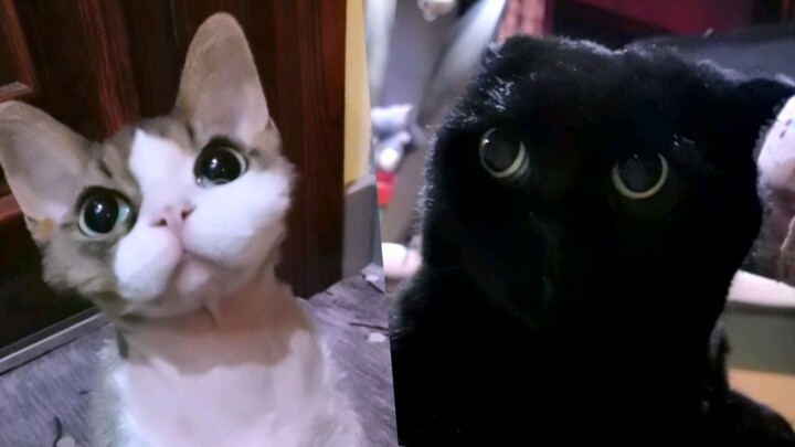 من يعلم كم يبلغ طول ساقي هذين الاثنين؟