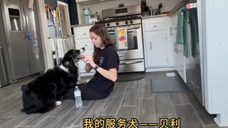 我会一直守护你🐕