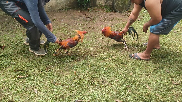 Exercise ng mga bisaya lines