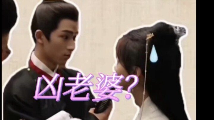 This clip of the little dog being fierce with his wife is just too hilarious lololololol! I keep edi