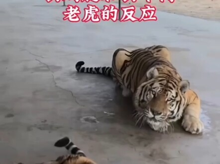 大家辛苦了，，不要投币了，帮忙点点赞。非常感谢！