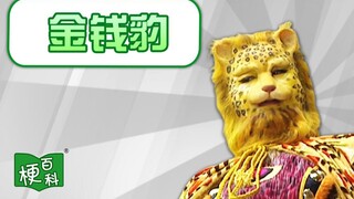 【梗百科】金钱豹是啥梗？怎么好多人头像都变成这个了？