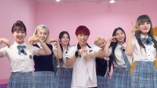 تحدي رقص الأغنية الجديدة STEREOTYPE من JAEJAE × STAYC!