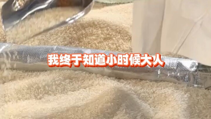 Akhirnya aku tahu kenapa waktu kecil orang dewasa suka memegang segenggam beras dan memandangnya ber