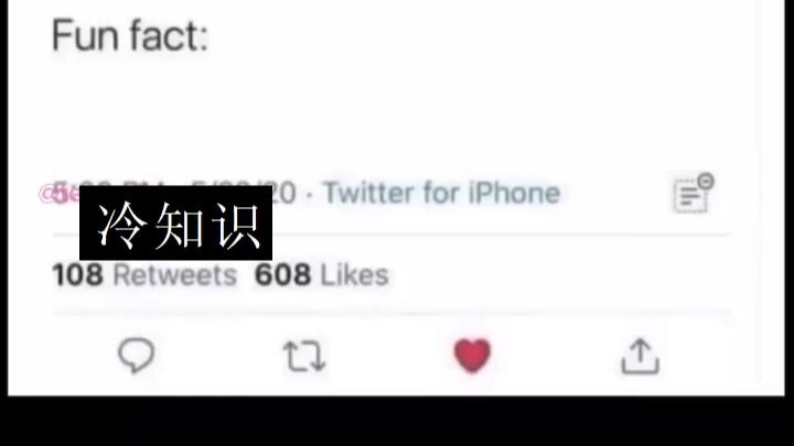 Homo Sapiens TV Part 1