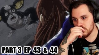 JoJo's BIZARRE ADVENTURE Part 3 Episode 43 and 44 REACTION (STARDUST CRUSADERS) | Anime EP Reaction
