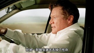 蝗虫大军入侵了城市，顷刻间就将上百头牛送走！《蝗虫大军》