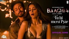 Bahli Sohni Song Baaghi 4 movie