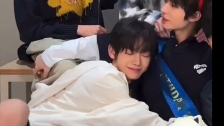 It’s a cute bunny that loves to cuddle and be close to people 🥺🥺