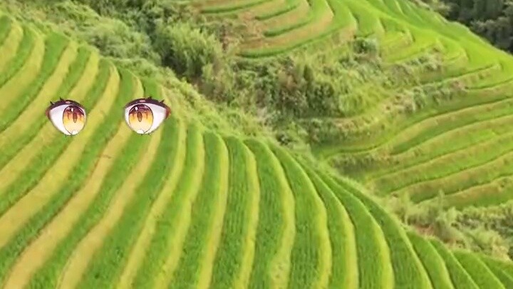 Budaya dan Pariwisata Guangxi: Hati yang menggantung masih mati