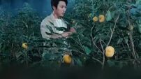 sistem shennong