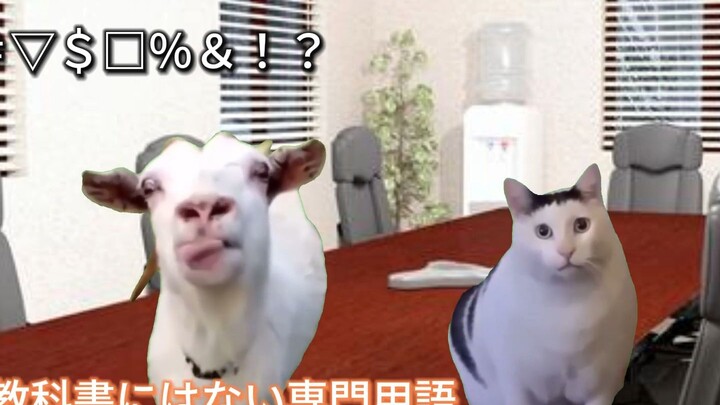 [Mature/cat meme] The story of a Japanese housewife’s values gradually changing after she went to Ch