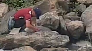 Cast Net Fishing in Nepal | Himalayan Trout Fishing in Nepal |