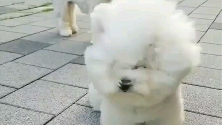 Let the wind tousle my hair.