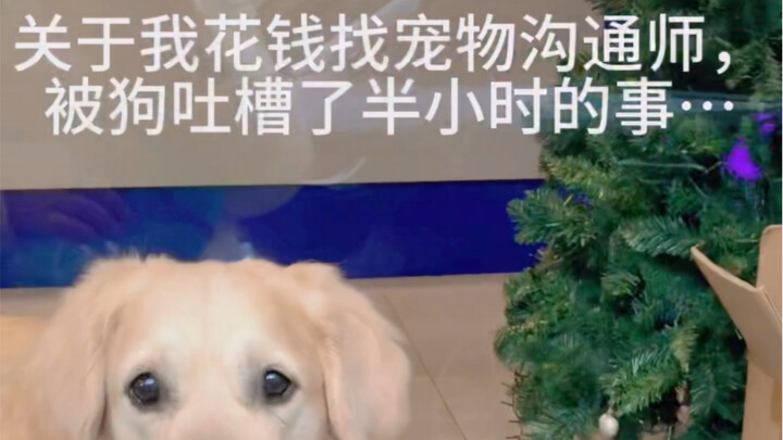 I paid a pet communicator, and my dog spent half an hour complaining about me!