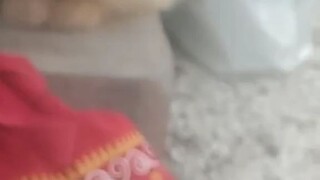 Toby di lapangan besar