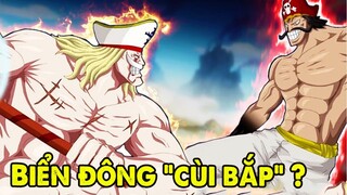 Dragon, Roger, Luffy "Cùi Bắp" | Biển Đông Vùng Biển "Yếu Nhất" Đại Hải Trình