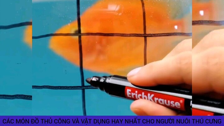 thủ thuật và vật dụng hay cho người nuôi thú