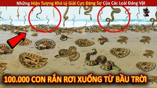 Những Hiện Tượng Khó Lý Giải Cực Đáng Sợ Của Các Loài Đáng Vật P37 || Review Giải Trí Đời Sống