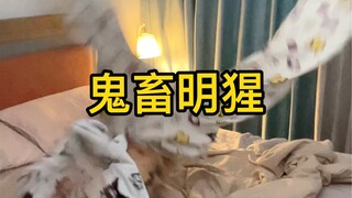 Kali ini! Sungguh! Aku tidak bisa tidur nyenyak!