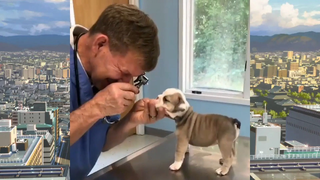 CUTE PET น่ารัก&ตลก 03