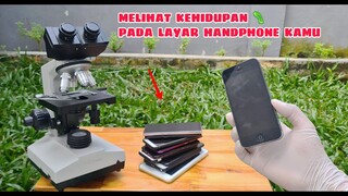 Microscope ZOOM 1000X:  MELIHAT KEHIDUPAN PADA LAYAR SMARTPHONE KAMU