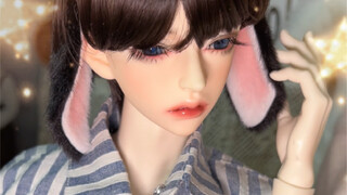 【BJD】关于老婆们的动物属性！兽耳赛高！